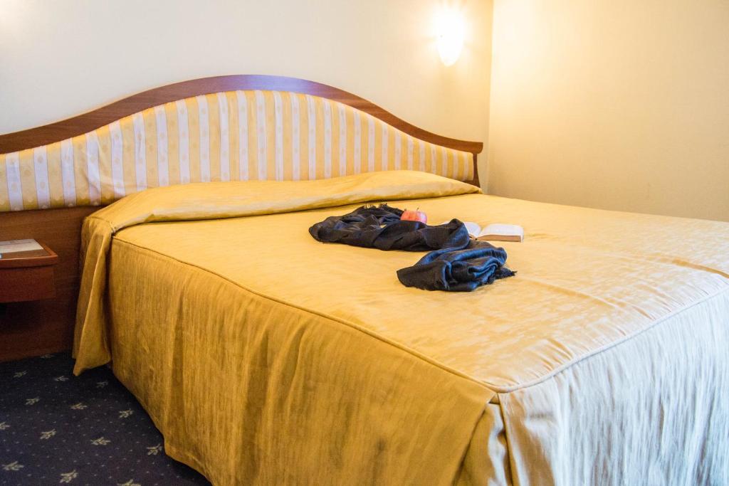 Postel nebo postele na pokoji v ubytování Hotel San Clemente