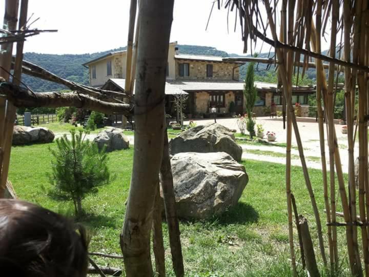 a view of a yard with rocks and a tree at Casale Valle Agnese in Godrano