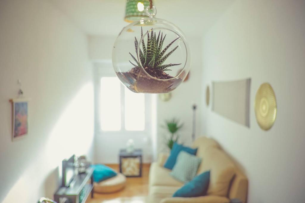 een woonkamer met een plant in een glazen bol bij Sintra Central Flat in Sintra