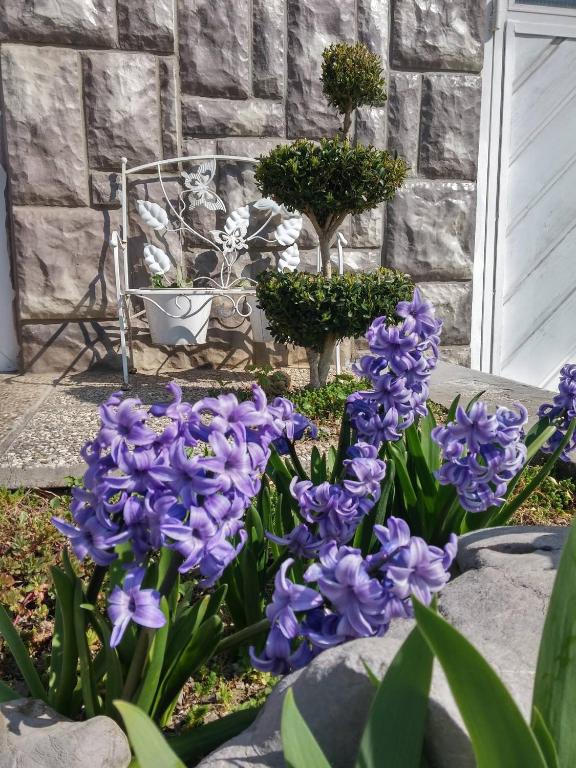 Apartment Rašće - 6