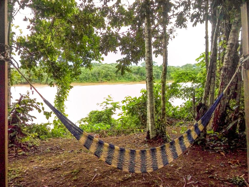 a hammock in a forest next to a river at Tambopata River in Puerto Maldonado