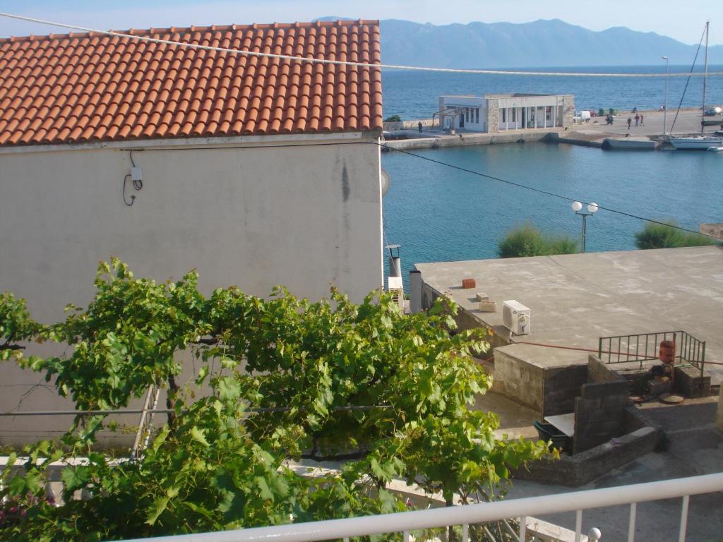 Príroda v okolí apartmánu