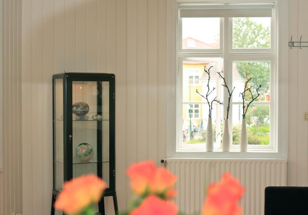 Fotografie z fotogalerie ubytování House of the Snowbird v Reykjavíku