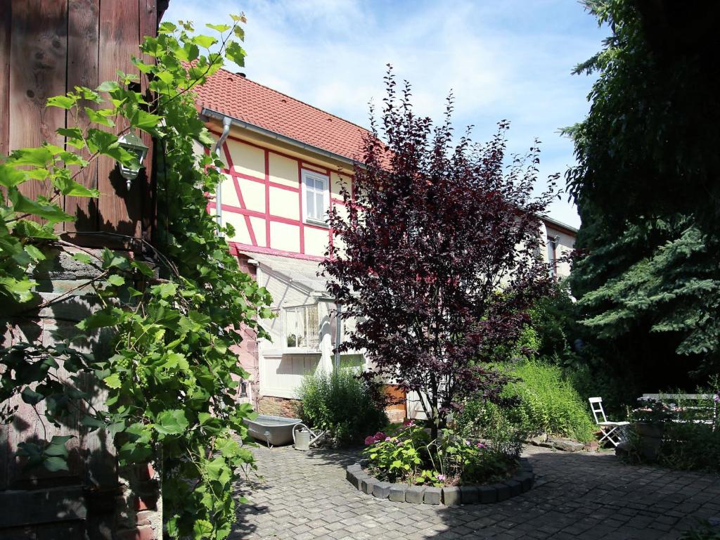 dom z drzewem przed nim w obiekcie Charming holiday home in Thuringen near the lake w mieście Kelbra