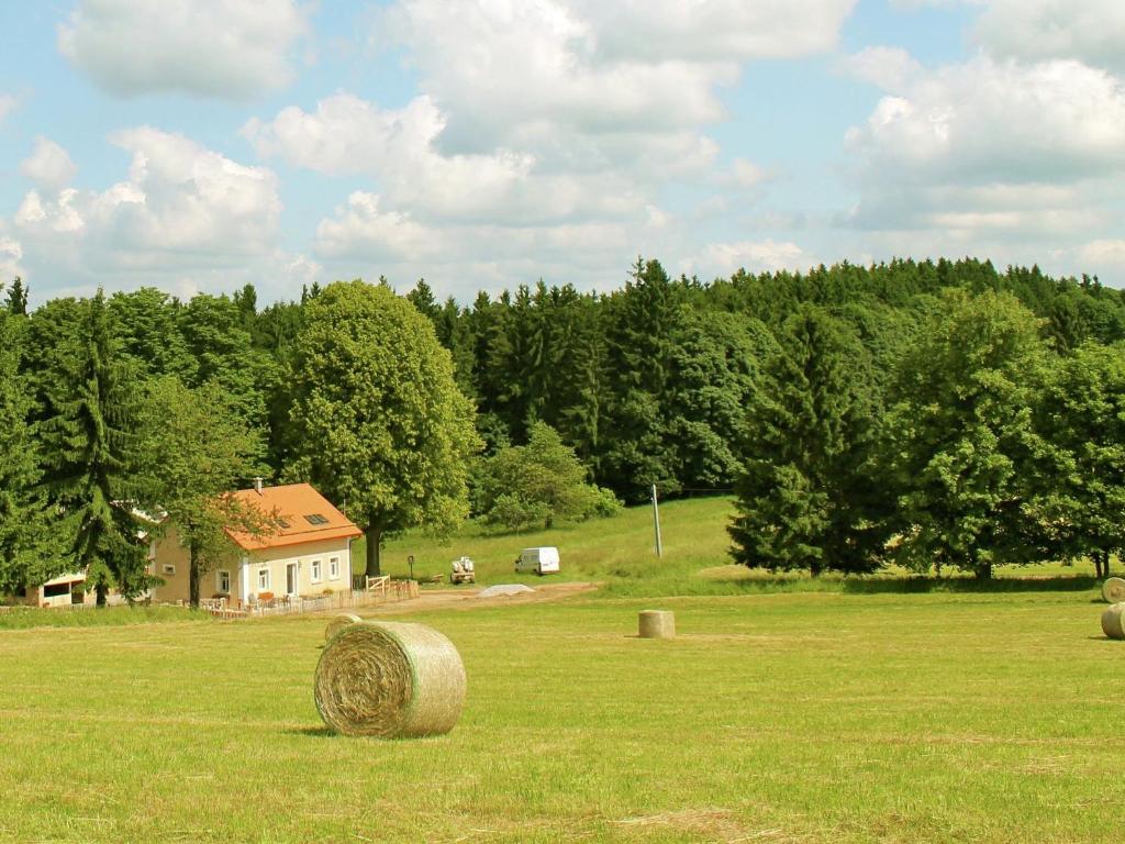 Foto de la galería de Dum U Lesa en Milíře