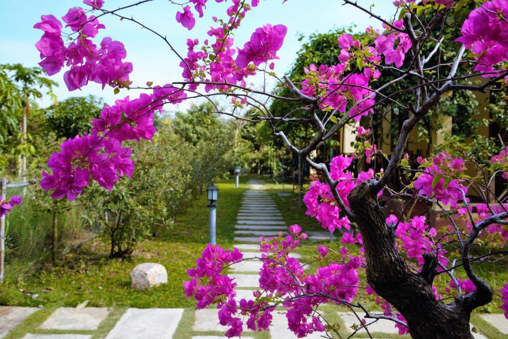 Zahrada ubytování Spring Garden Homestay