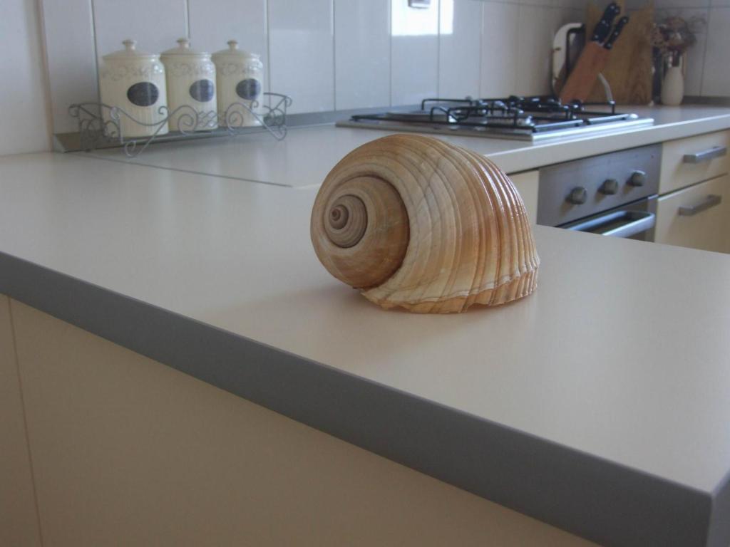 Kuchyň nebo kuchyňský kout v ubytování Apartment Antonia