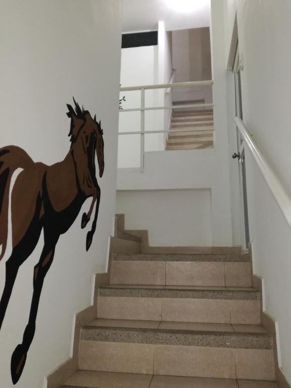 Francisco Habitaciones