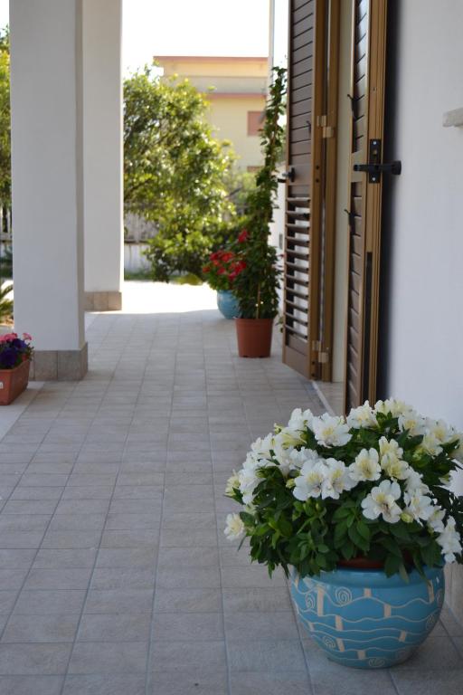 Fotografie z fotogalerie ubytování Guesthouse Holiday Formia beach v destinaci Formia
