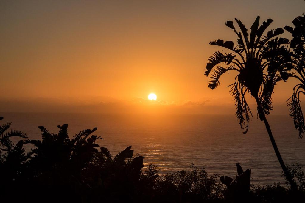 una puesta de sol sobre el océano con una palmera en Khaya La Manzi Guest Lodge, en Hibberdene