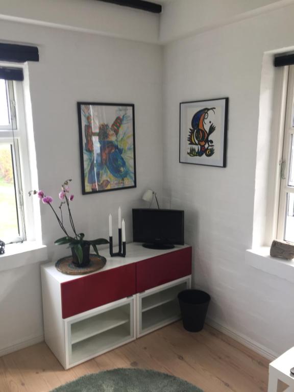 TV in/ali zabaviščno središče v nastanitvi Revninge Guesthouse