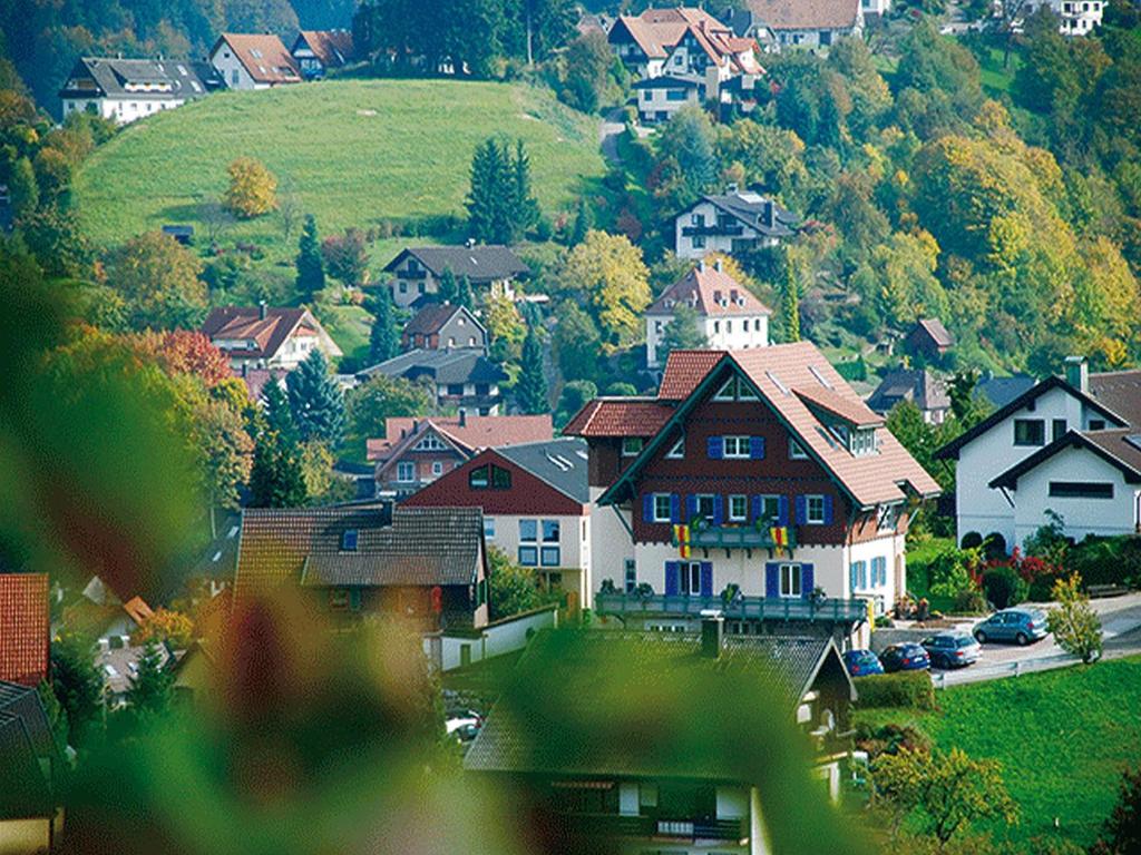 Hotel-Restaurant Bergfriedelの鳥瞰図