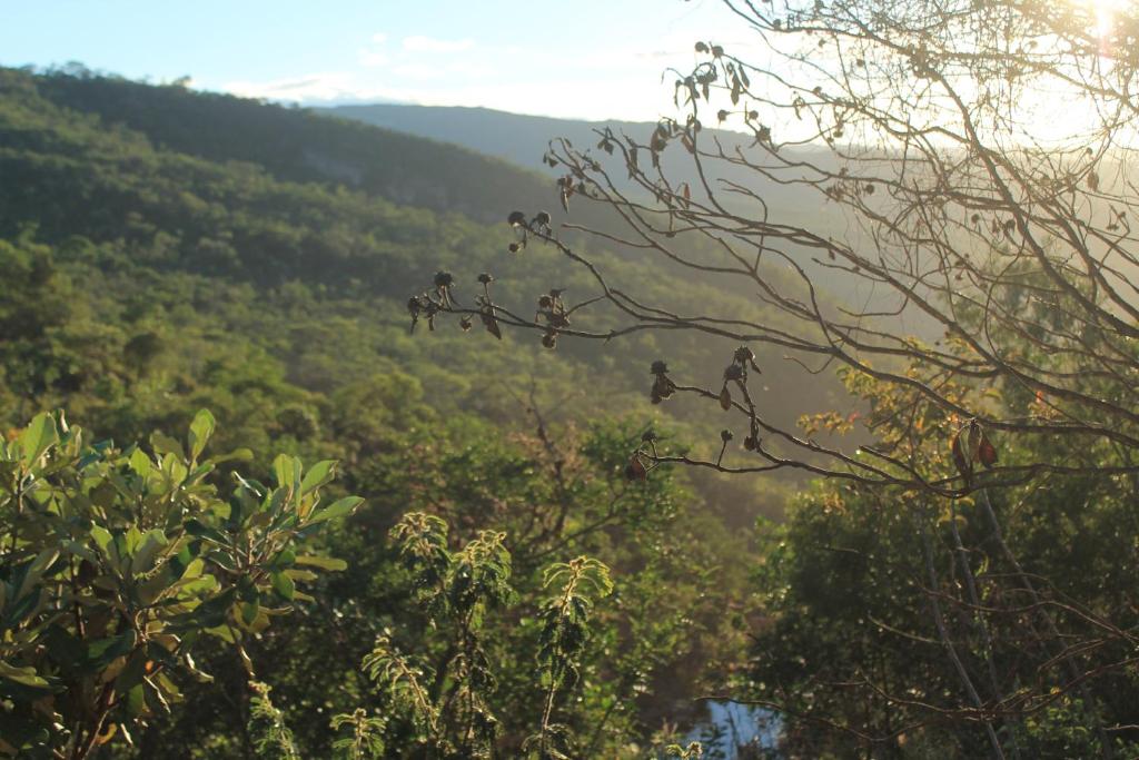  Espaço Matagal