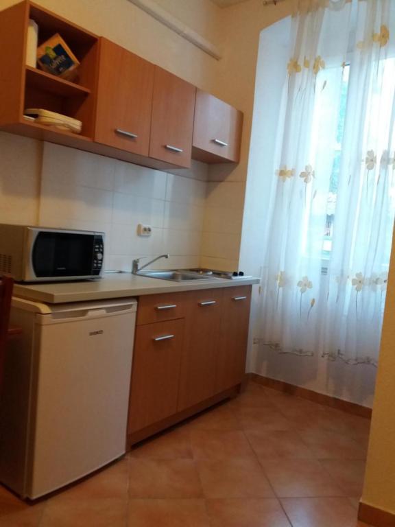 Kuchnia lub aneks kuchenny w obiekcie Studio apartman sirena