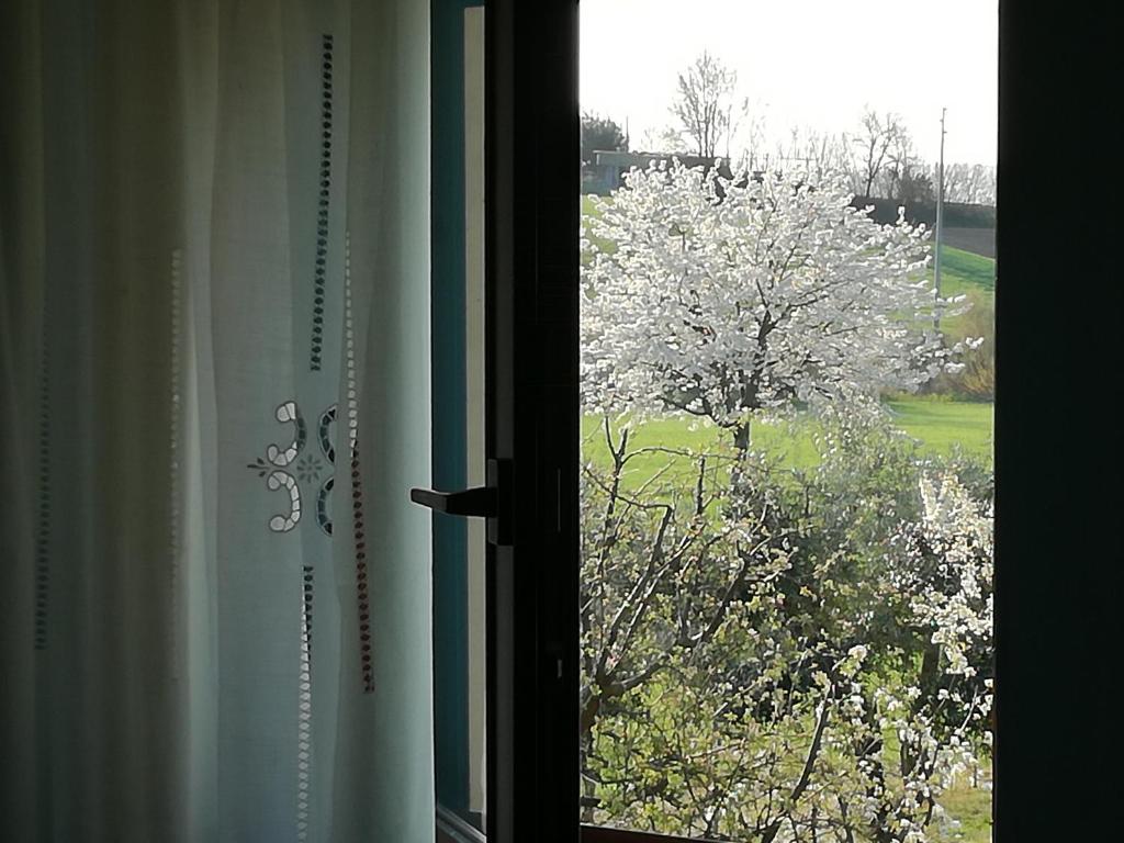 Zahrada ubytování I Ciliegi