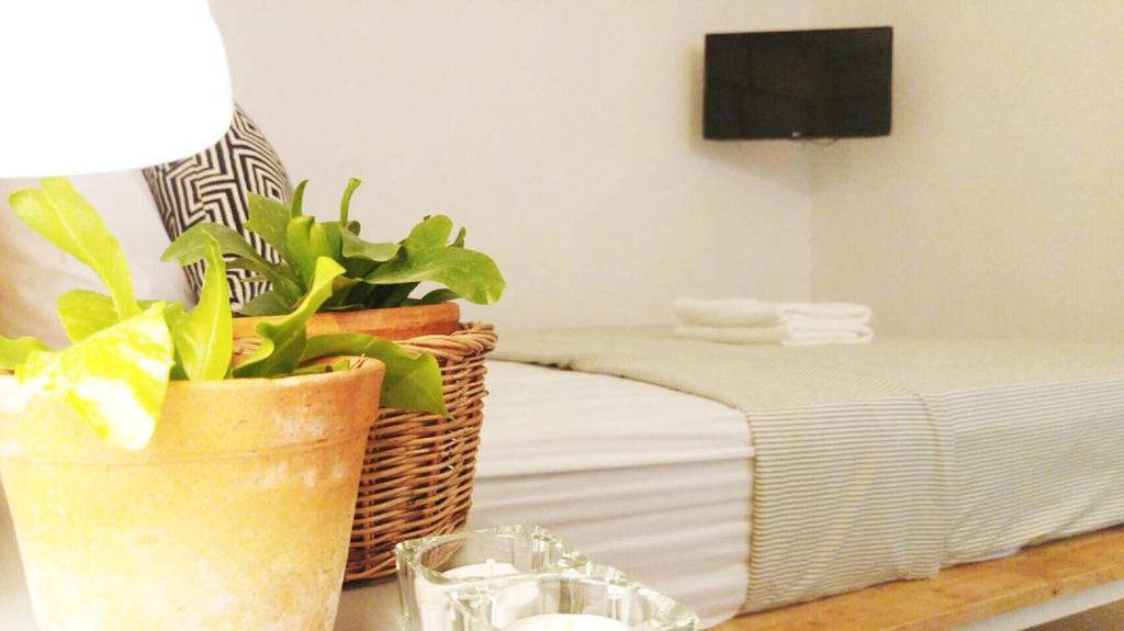 TV a/nebo společenská místnost v ubytování Green Sleep Hostel