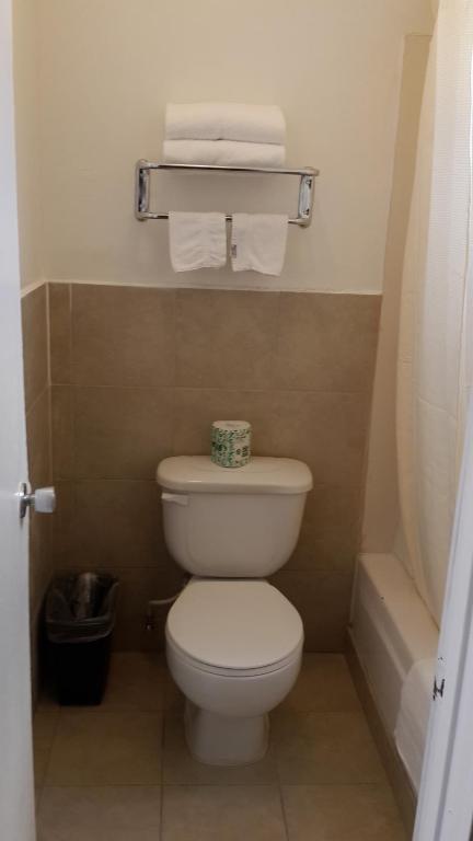 Koupelna v ubytování American Regency Inn