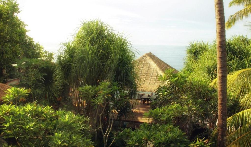 Zahrada ubytování Seraya Shores Bali