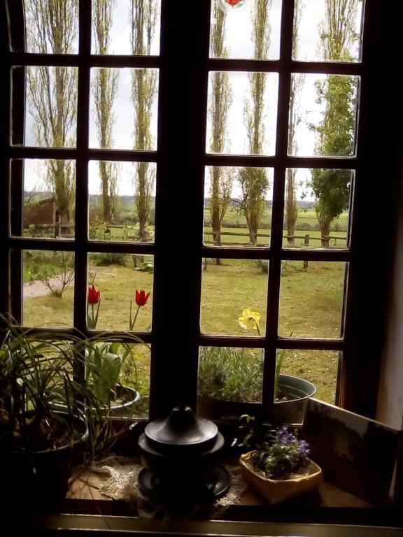 Zahrada ubytování La Ferme Des Vignes
