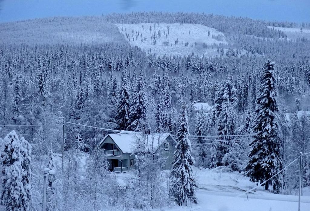 Lapland Snow Cabin v zimě