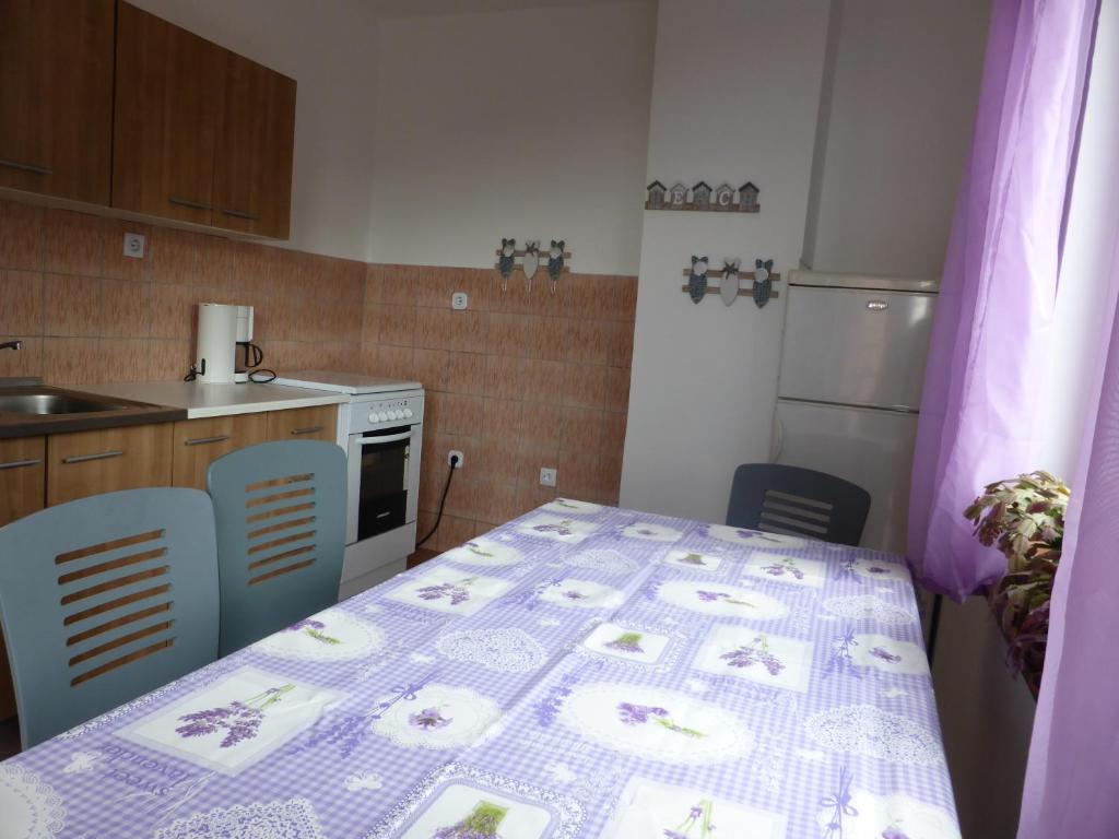 Kuchyň nebo kuchyňský kout v ubytování Apartments Adria