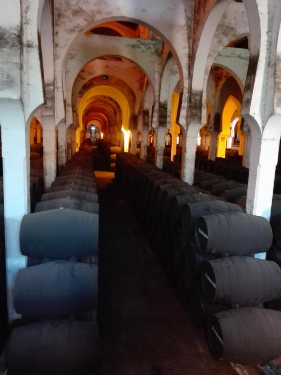 Kép Apartamento San Miguel Caballeros szállásáról Jerez de la Fronterában a galériában