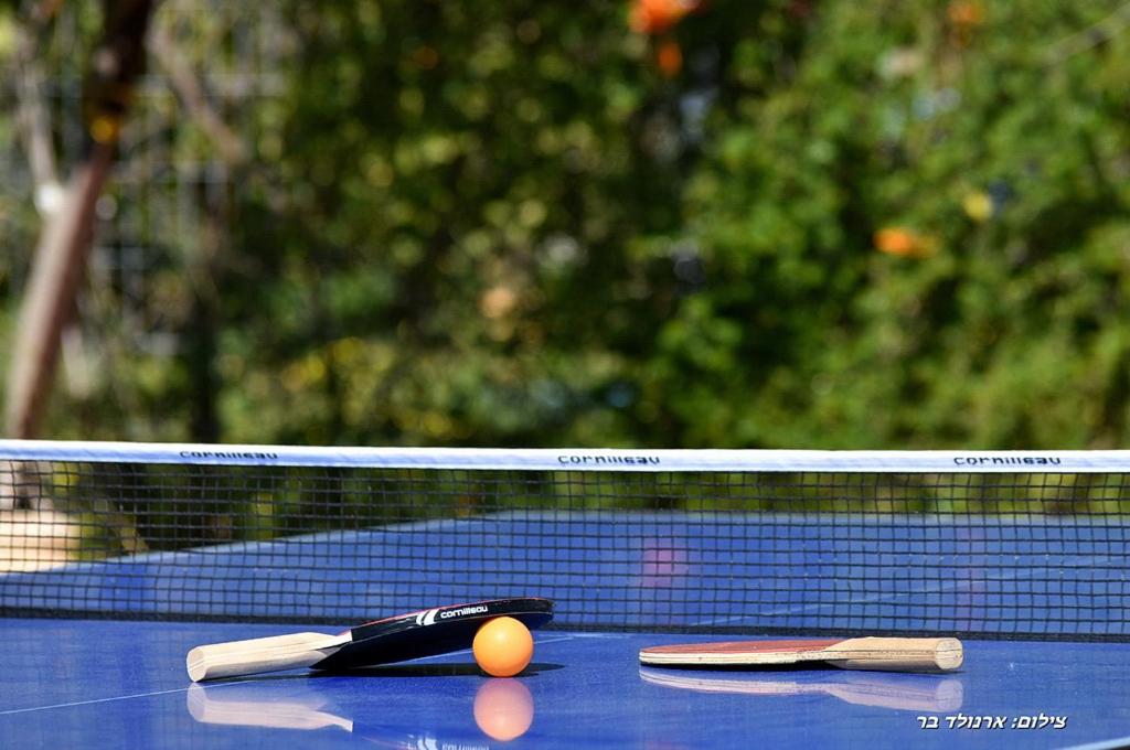 Tenis a/nebo squash v ubytování Adilion nebo okolí