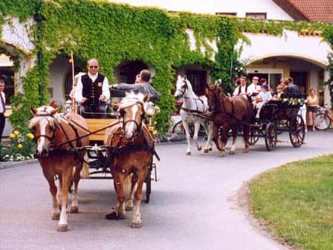 Hosté ubytování Reiterhof Sonja