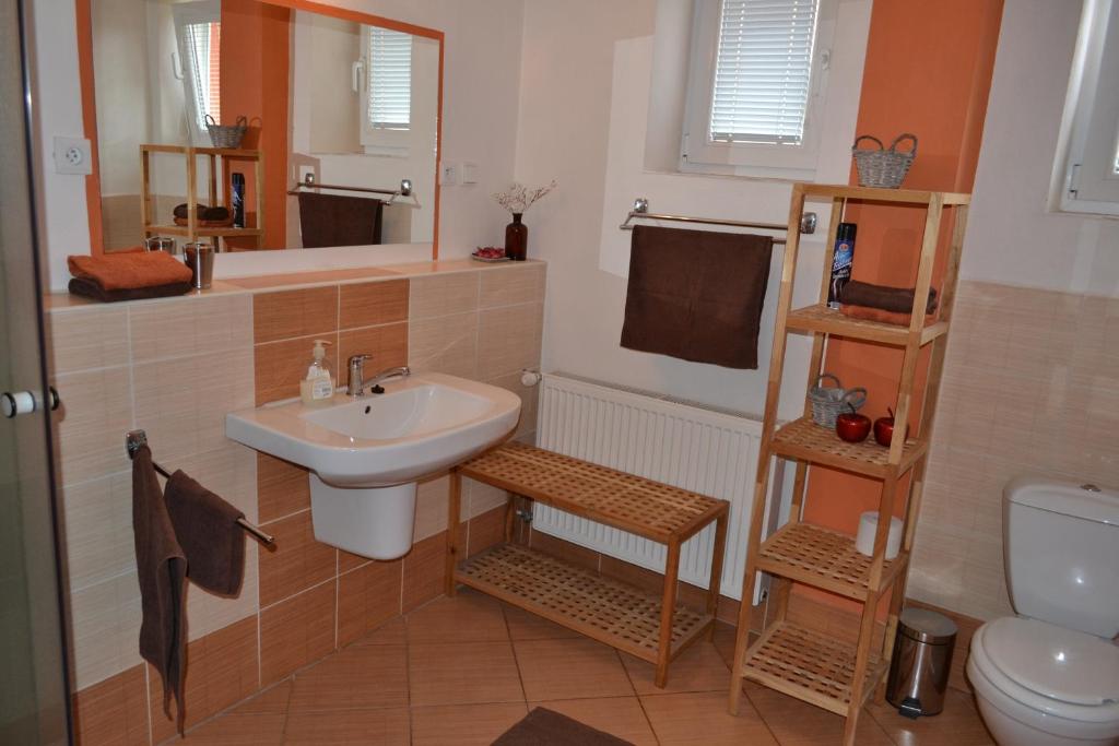 Koupelna v ubytování Apartman JaS