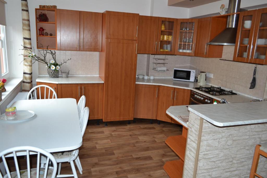 Kuchyň nebo kuchyňský kout v ubytování Apartman JaS