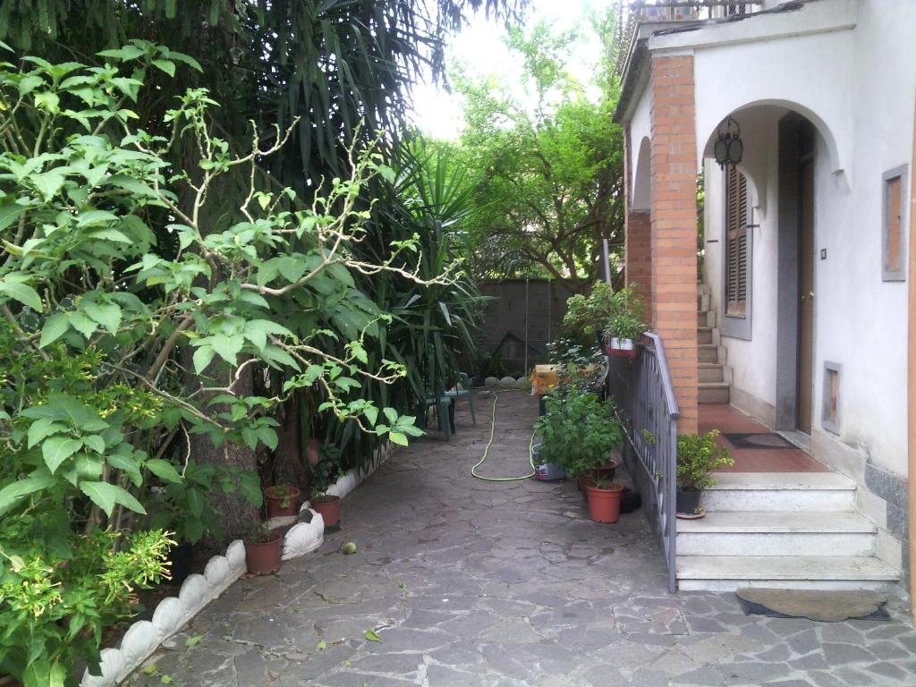 a walkway leading to a house with plants at House on Anagnino 64 in Ciampino