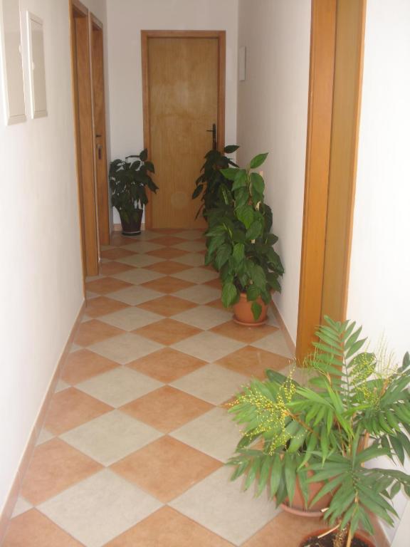 Fotografia z galérie ubytovania Apartments San Giorgio v Sućuraji