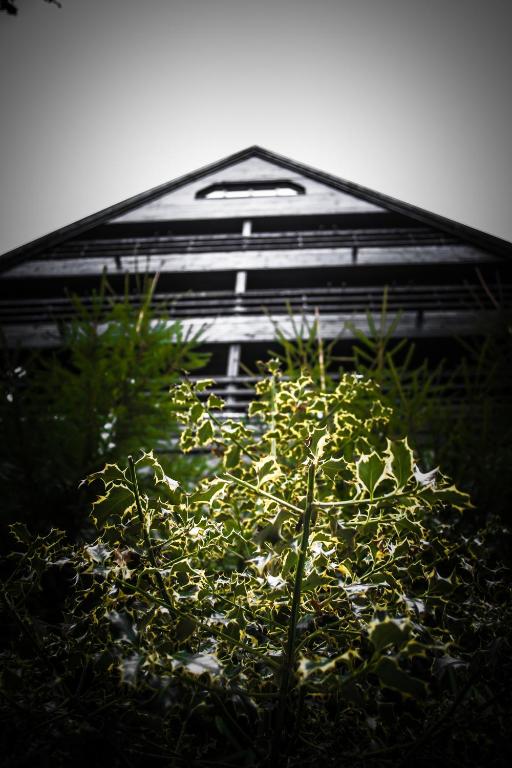 Hotel Smart - Resim 33