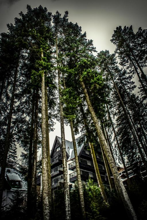 Hotel Smart - Resim 34