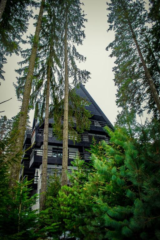 Příroda nedaleko hotelu