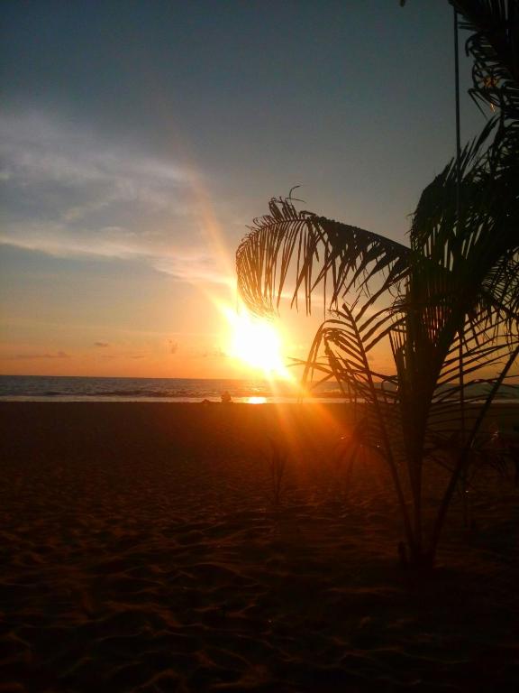 Sri Lancashire Guest House - 6