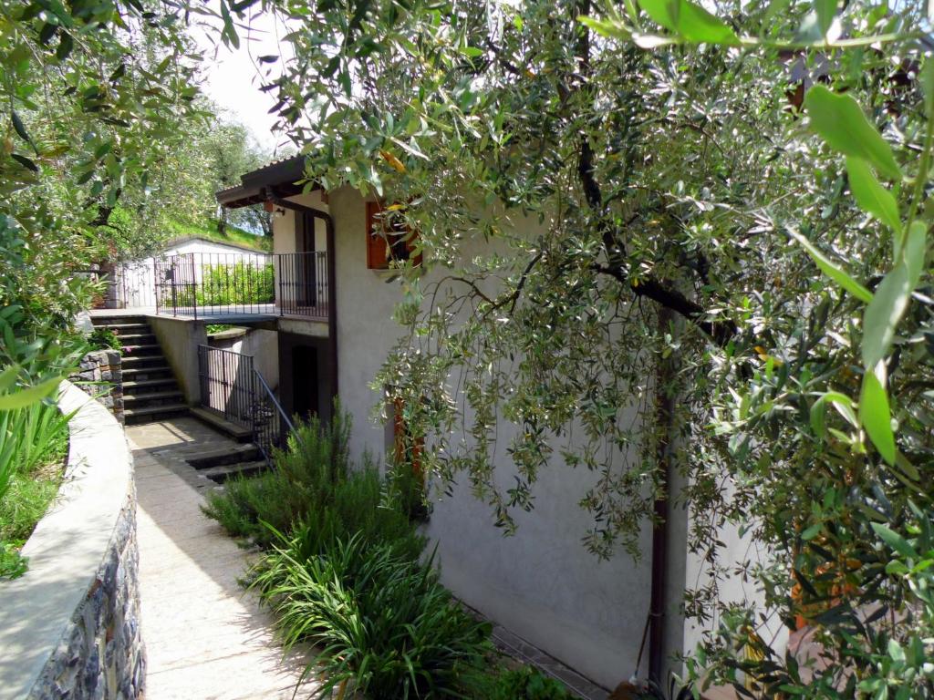 マローネにあるBelvilla by OYO Belvedereの白い木の横に階段