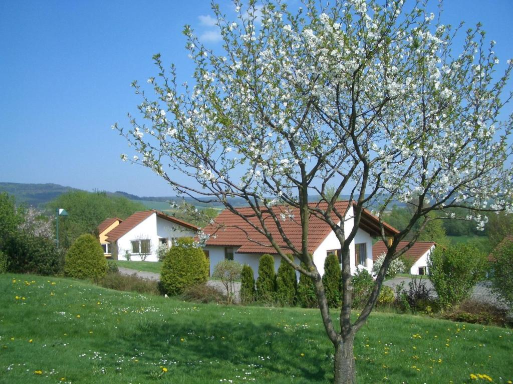 drzewo w ogrodzie z domem w obiekcie Detached single-storey bungalow with south-facing terrace w mieście Uslar