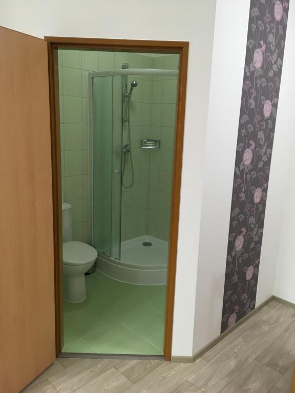 ein Badezimmer mit Dusche und Toilette in der Unterkunft Penzion Janovice in Janovice nad Úhlavou