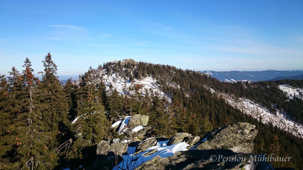 Pension Mühlbauer - 9