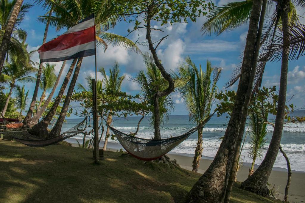 a hammock on a beach with palm trees at La Leona Eco Lodge in Carate