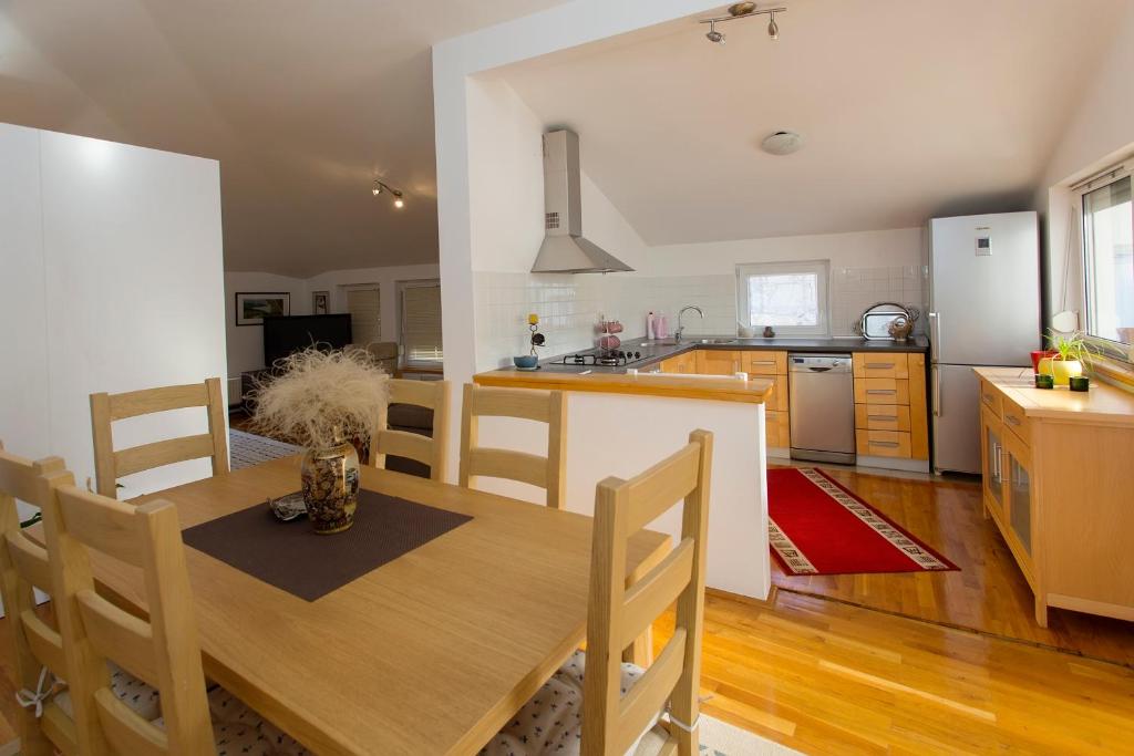 Kuchyň nebo kuchyňský kout v ubytování Guesthouse Rota