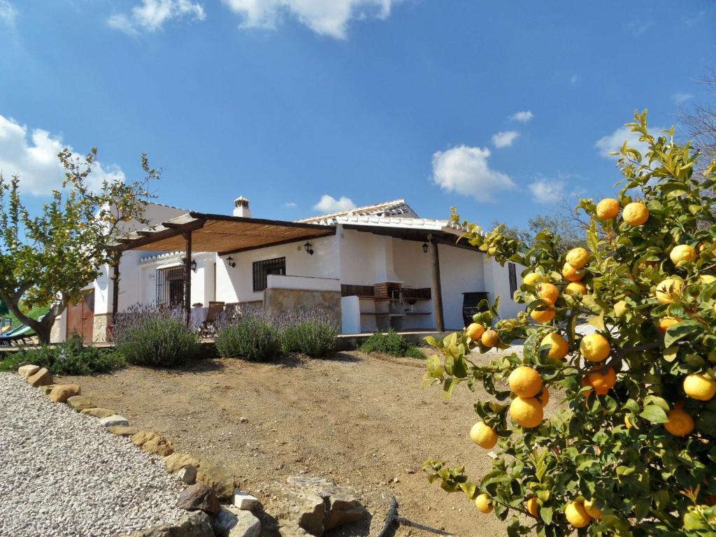 an orange tree in front of a house at Belvilla by OYO El Trigal in Villanueva de la Concepción