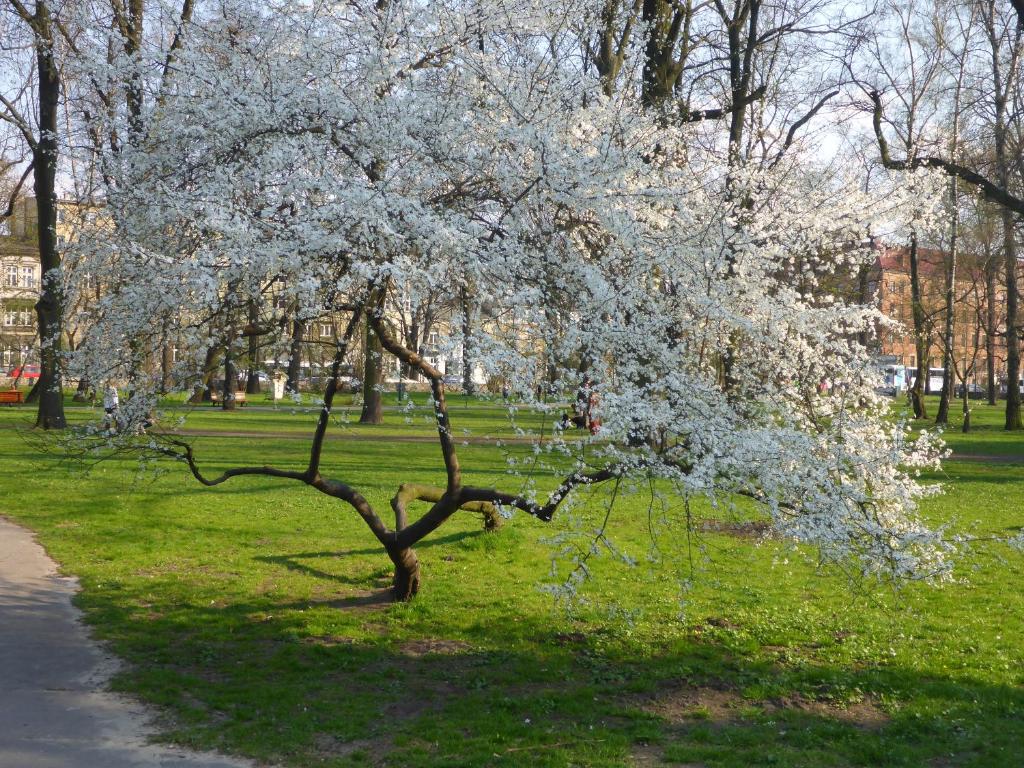 Vonkajšia záhrada v ubytovaní Garden Apartment