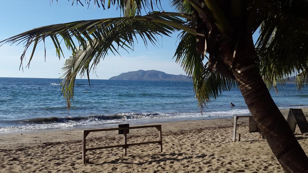 a bench sitting on top of a beach next to a body of water at Hotel La Palapa in Tamarindo