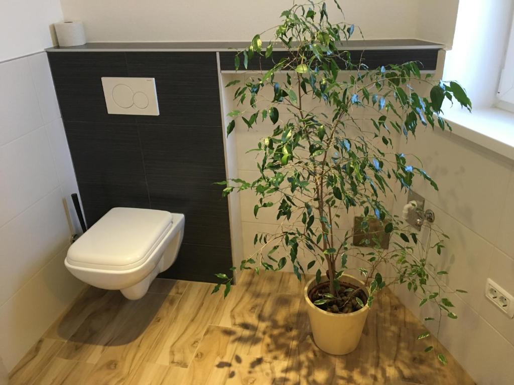 Haus am Wanderweg - 12