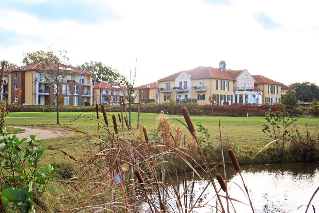 a group of houses in a field next to a pond at Castello Apartments in Lüneburg