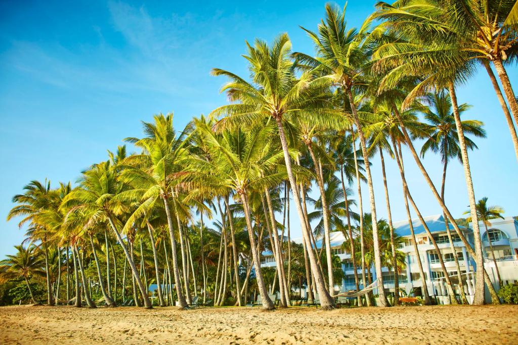a beach with palm trees and palm trees at Alamanda Palm Cove by Lancemore in Palm Cove