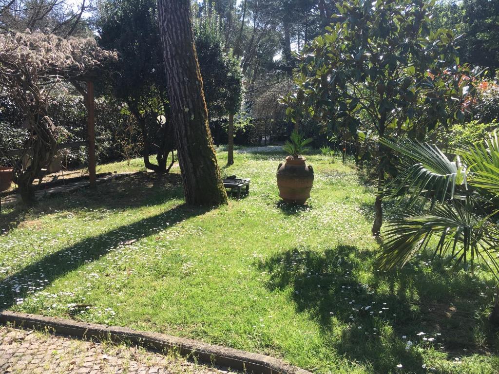 a garden with a tree and a vase in the grass at Old Town in the green: Federico's apartment. in Florence