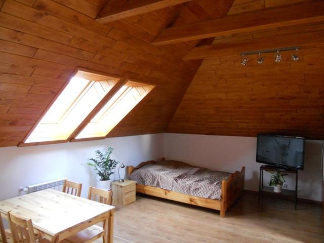 ラプカにあるApartament Kurzejówkaのベッドルーム1室(ベッド1台付)、屋根裏部屋(テレビ付)